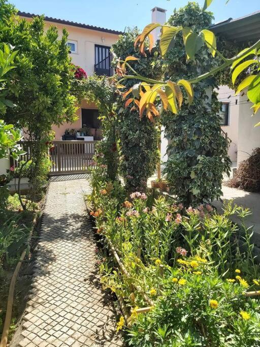 Casa Alegria - The Orangery Tomar Exterior foto